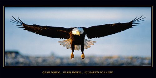 "Cleared to Land" Eagle Poster